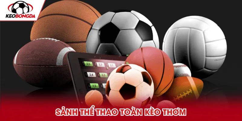 Cược trận đấu tại sảnh thể thao uy tín