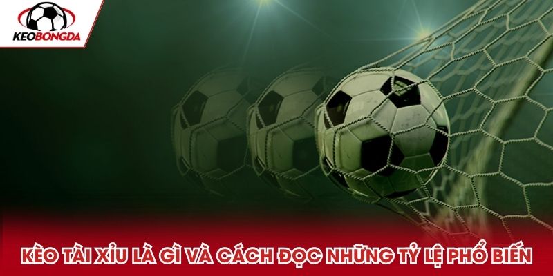 Kèo tài xỉu là gì và chi tiết cách đọc những tỷ lệ phổ biến