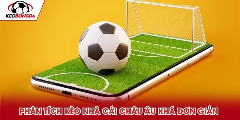 Châu Âu được nhận xét có cách phân tích đơn giản