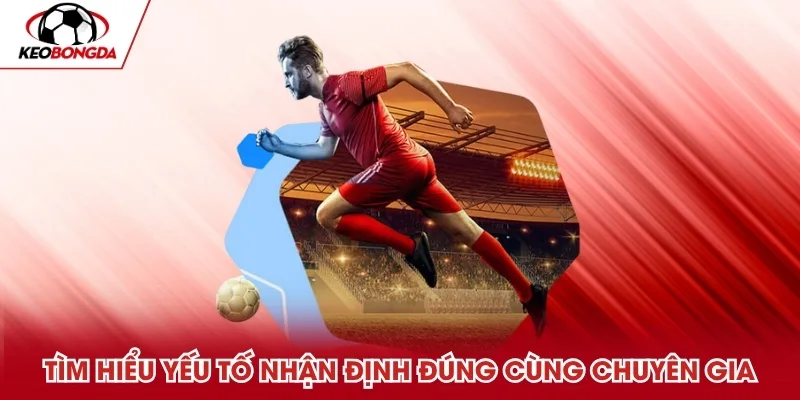 Tìm hiểu yếu tố giúp nhận định đúng cùng chuyên gia