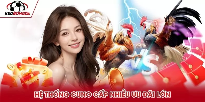 Hệ thống cung cấp nhiều ưu đãi lớn cho bạn tham gia
