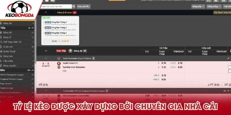 Tỷ lệ kèo được xây dựng bởi chuyên gia của nhà cái
