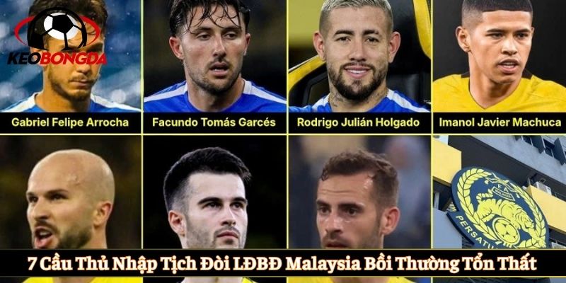 7 cầu thủ nhập tịch