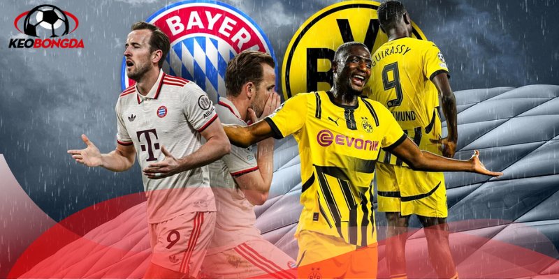 Phương án cược đáng tin cậy nhất từ các chuyên gia